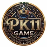 PK11 Game Logo